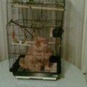 Meet your Posher, Cherry